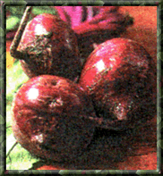 
Beets
